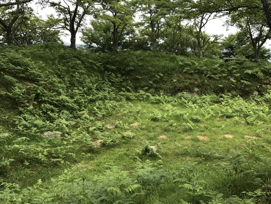 小川城（滋賀県甲賀市）の詳細情報・口コミ | ニッポン城めぐり