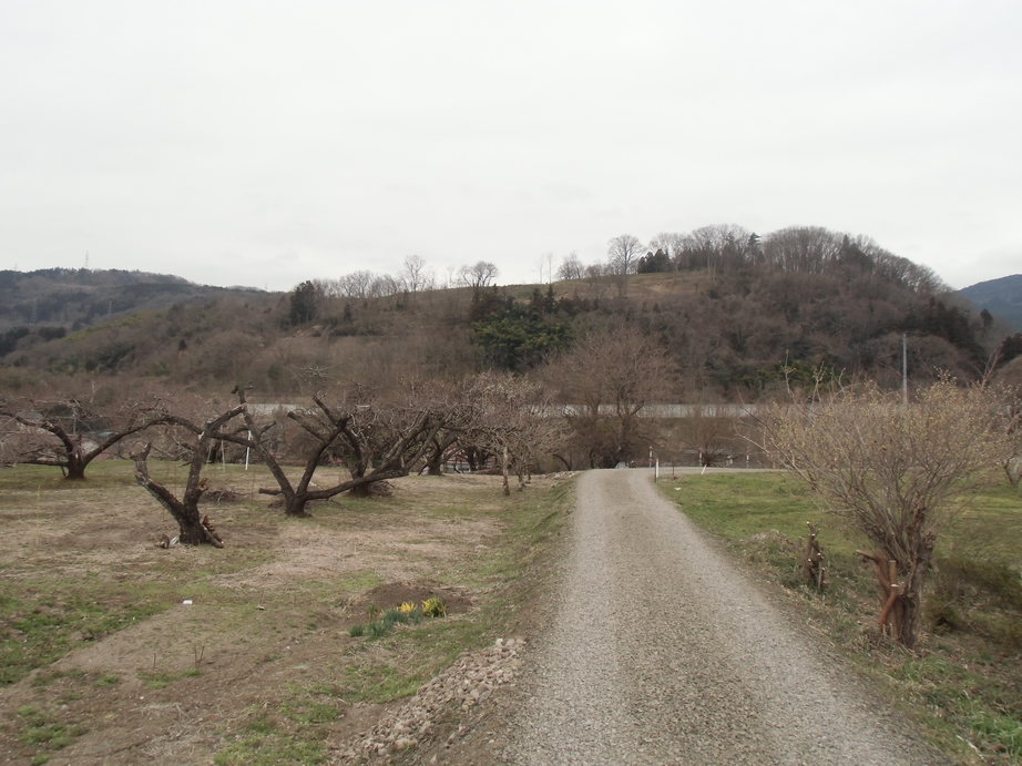 桑折西山城