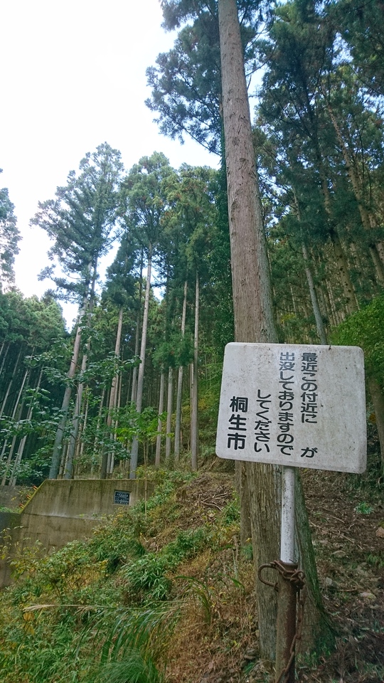 販促キャンペーン 限定≪直書き23面11体≫【群馬 宝徳寺】佐野正綱