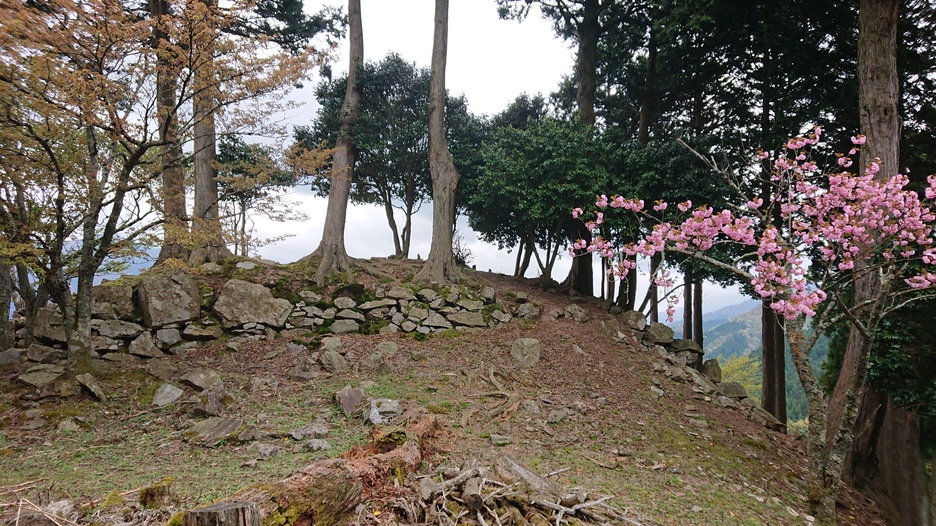 若桜鬼ヶ城（鳥取県八頭郡）の詳細情報・口コミ | ニッポン城めぐり