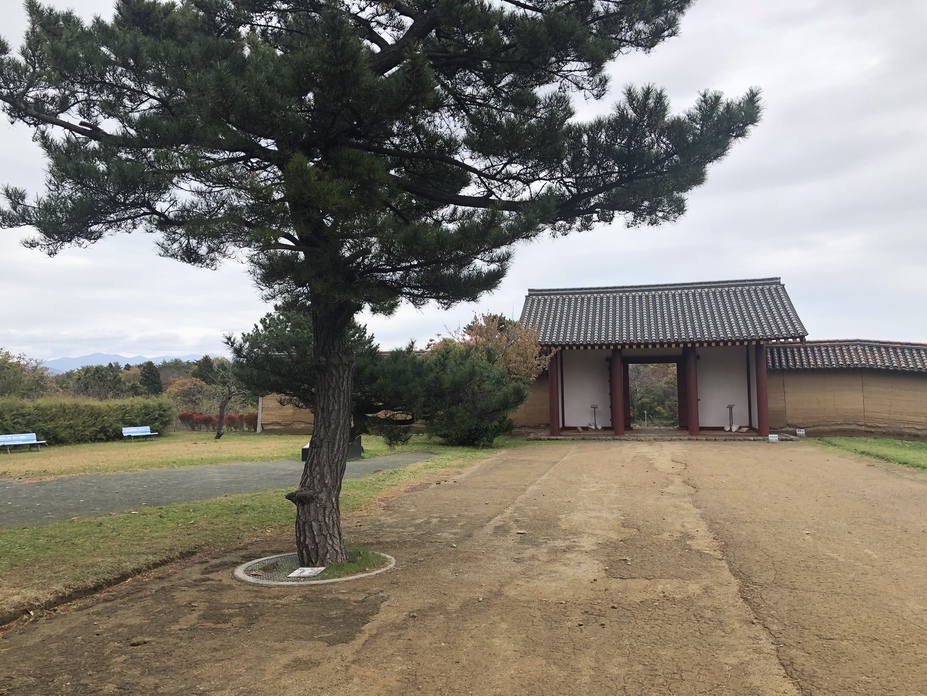 お買得！】 秋田県 秋田魁新報社/検: 昭和30年発行 編集兼発行人:斎藤