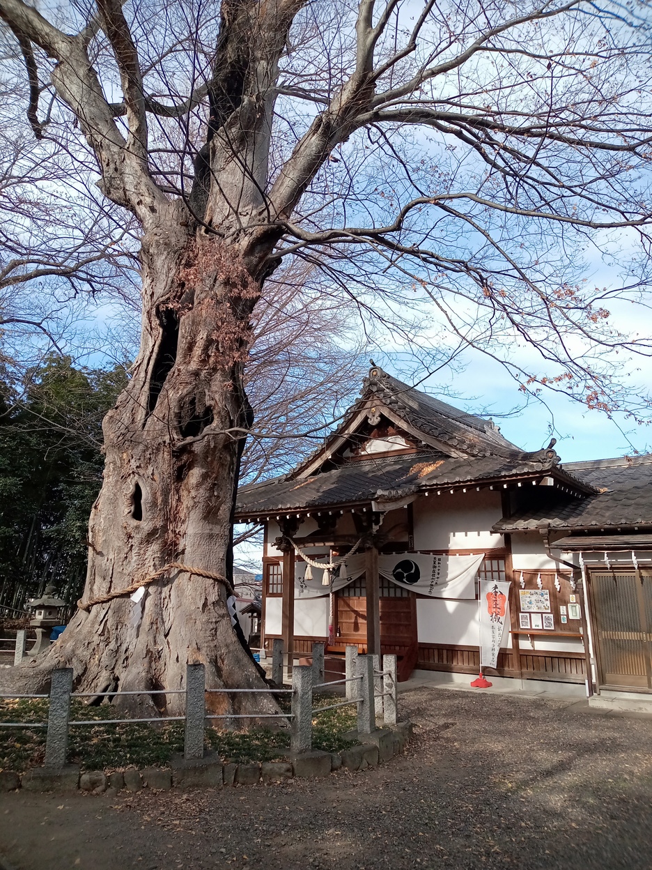 本庄城（埼玉県本庄市）の詳細情報・口コミ | ニッポン城めぐり