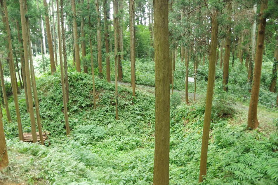 坂田城