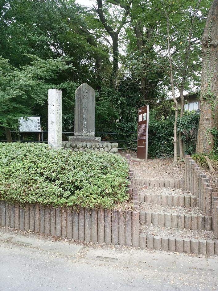 金窪城