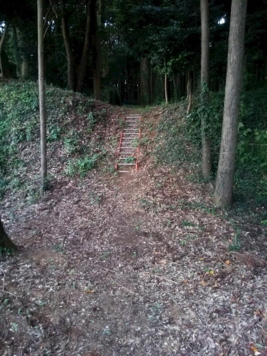 神宮寺城