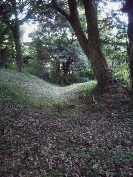 阿波崎城