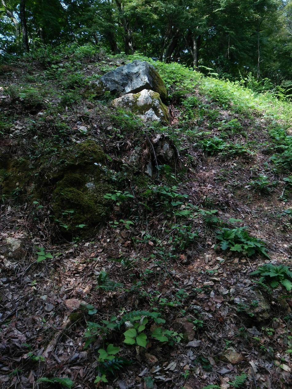 佐和山城