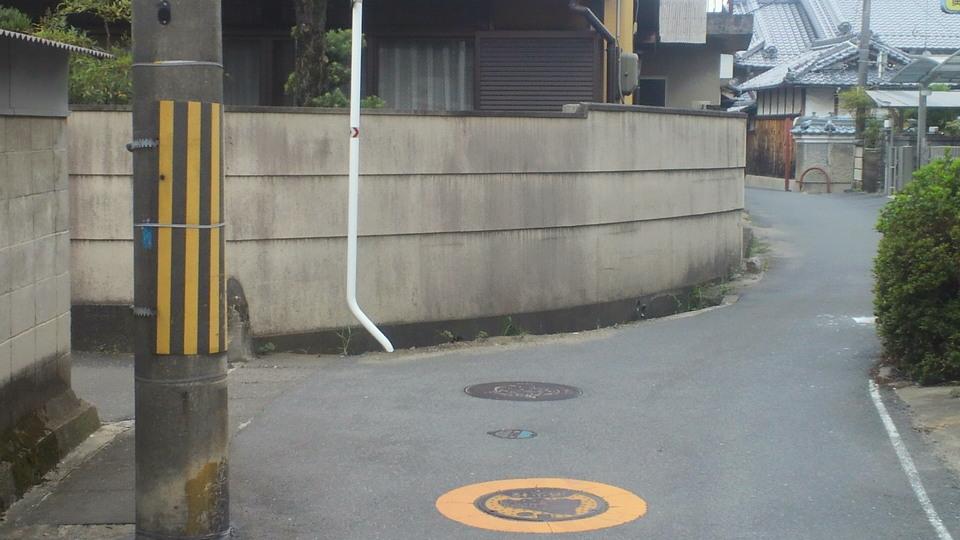 稗田環濠