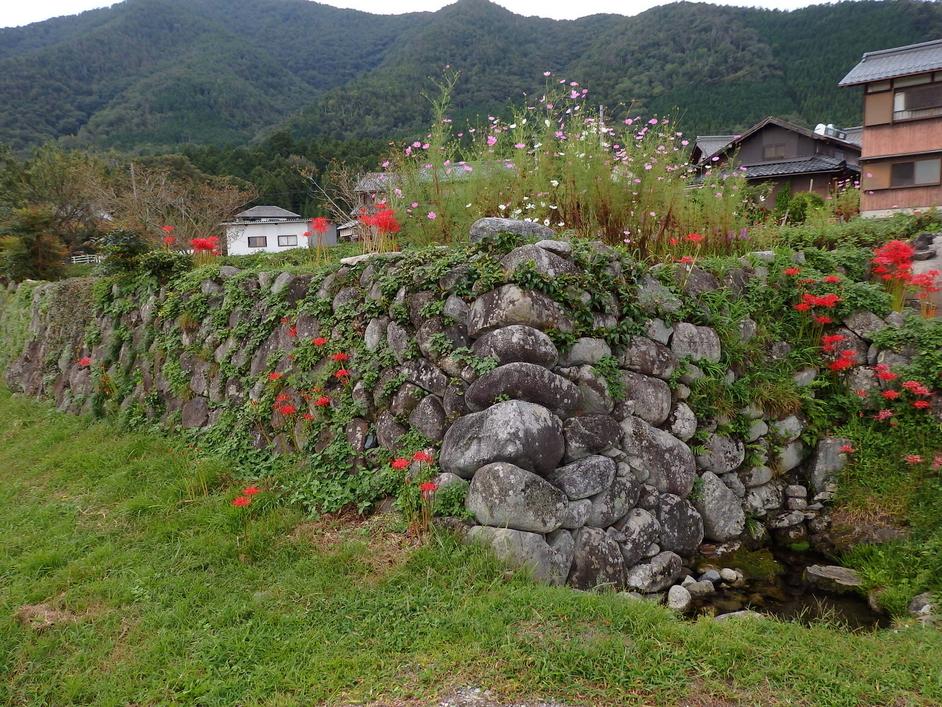 高野城