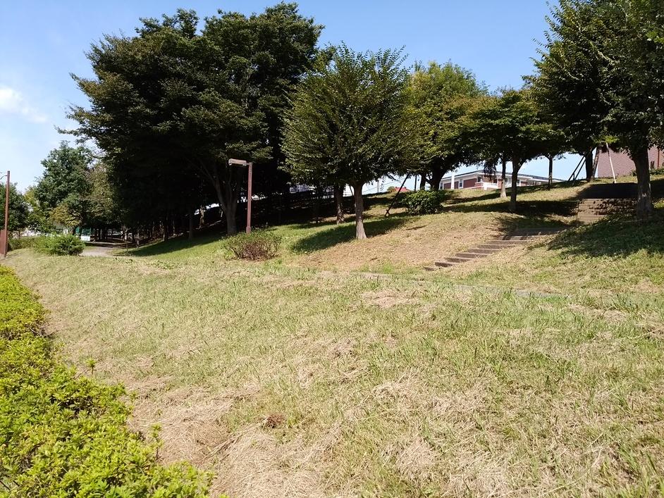山崎城