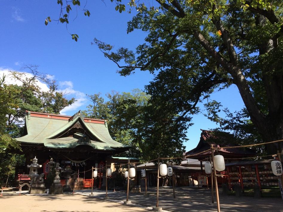 蒼海城