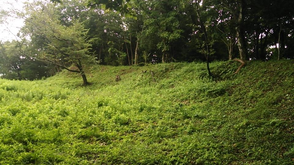 稲村城