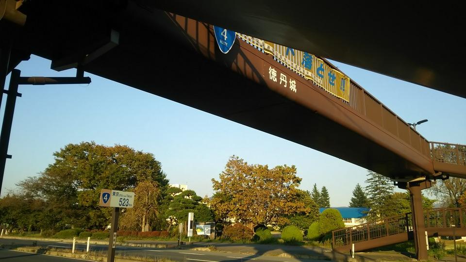 徳丹城