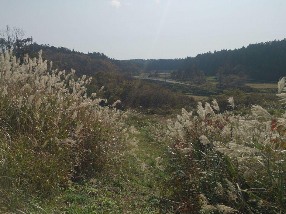 染川城