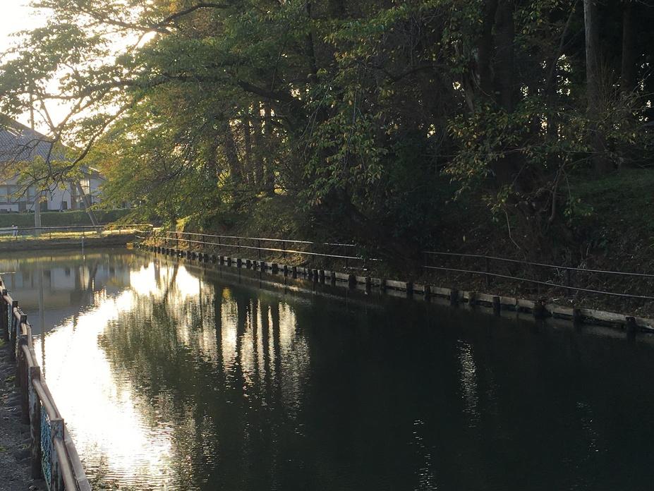 新田目城