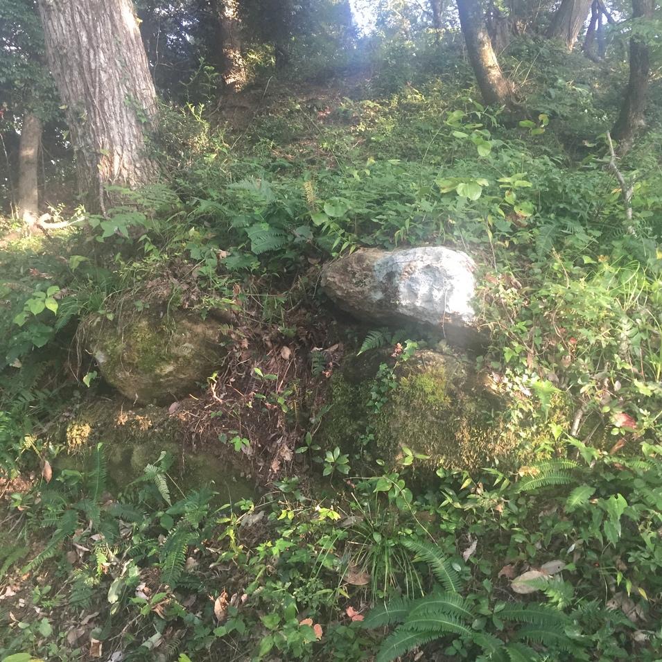 岩倉城