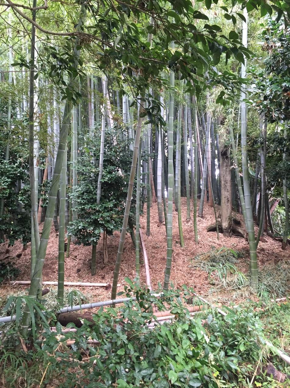 伏屋城