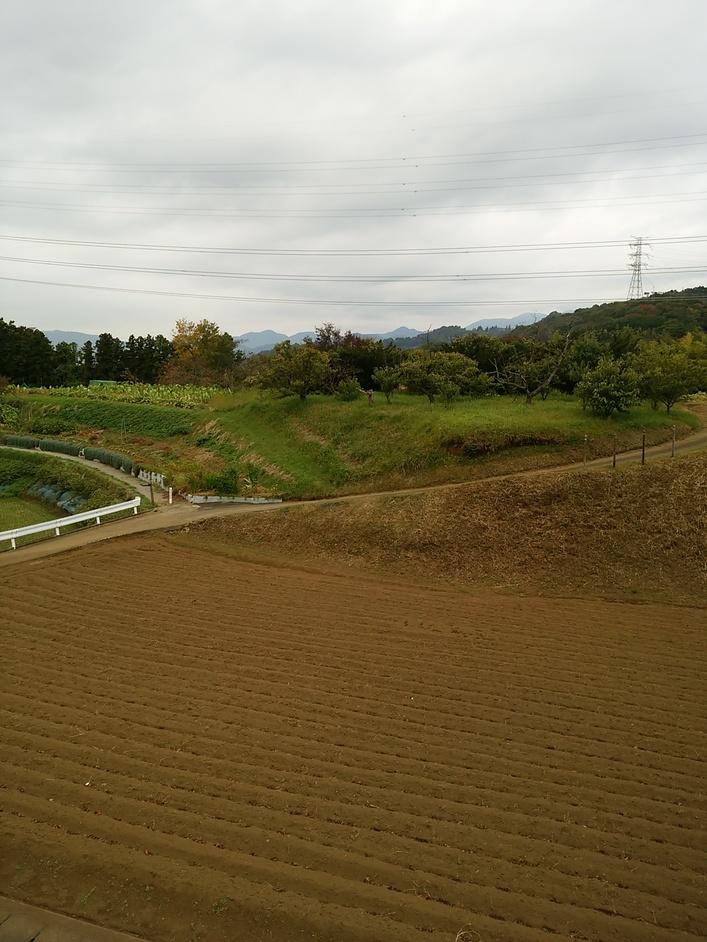 波多野城