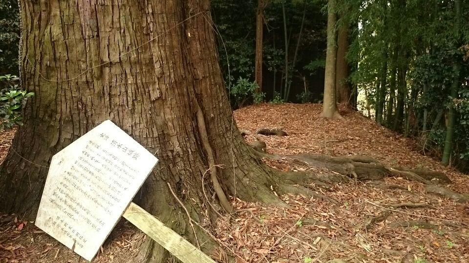 清水山城