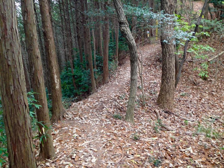 七郷山城
