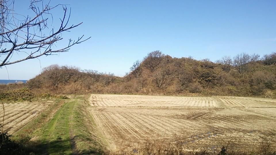 染川城
