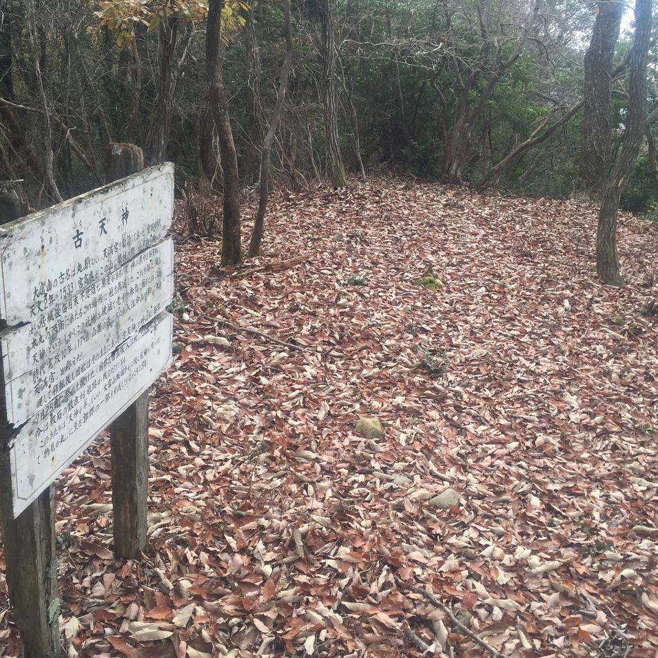 大富山城