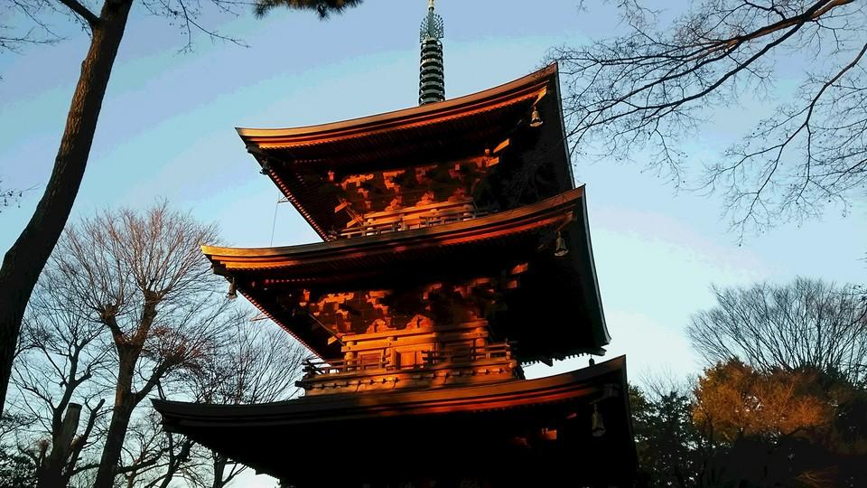 世田谷城