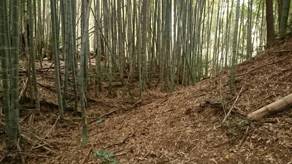 古市城