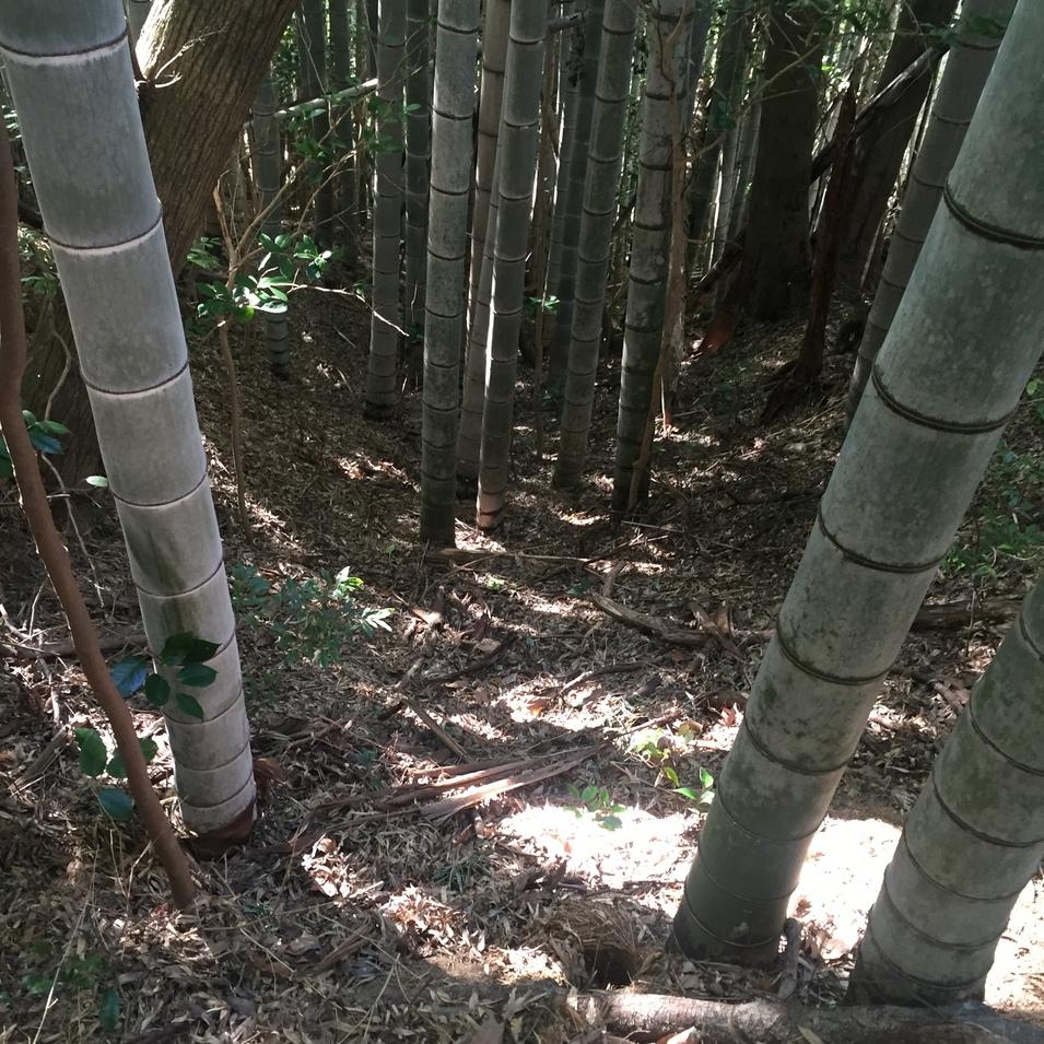 楠目城