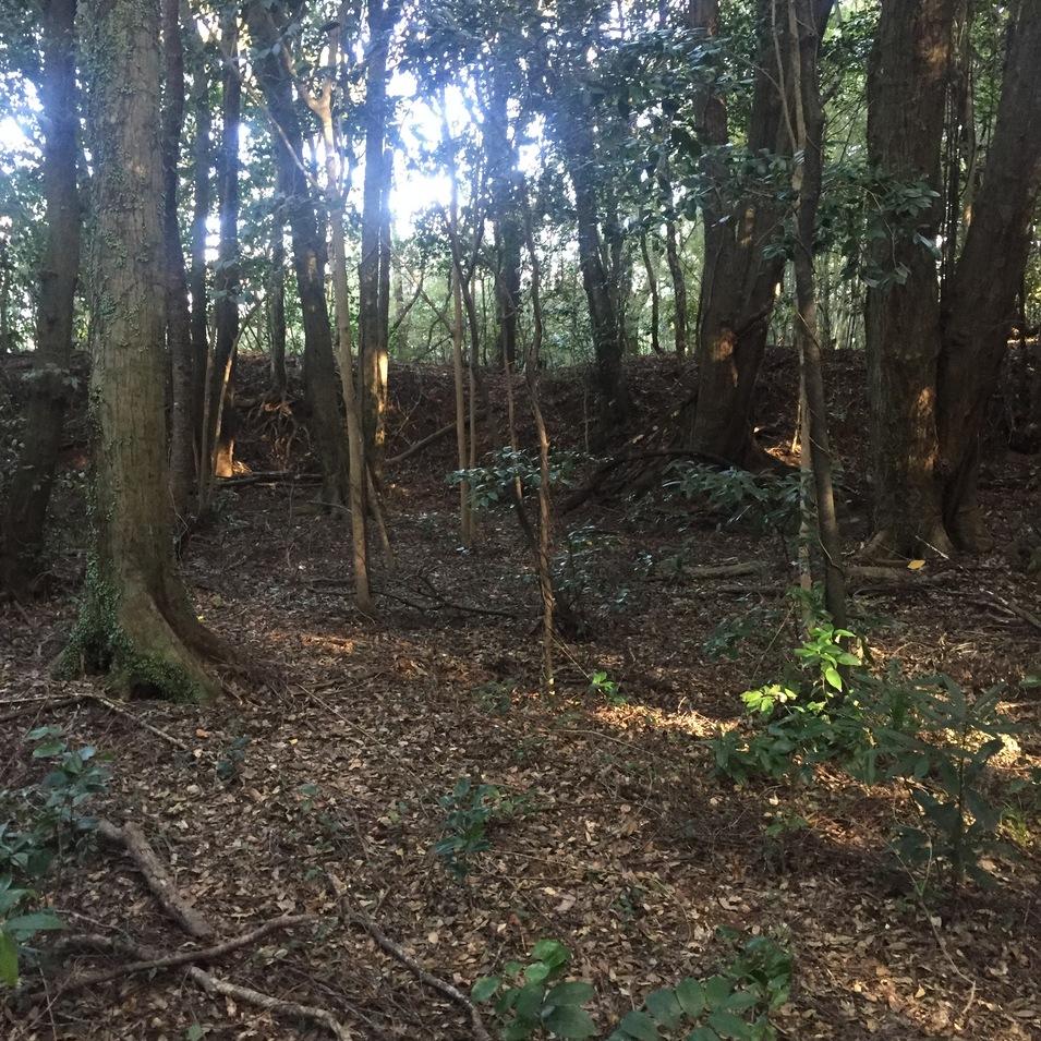 楠目城