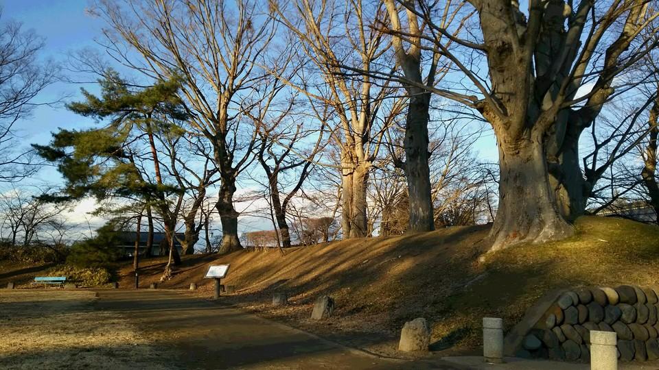 伴野城