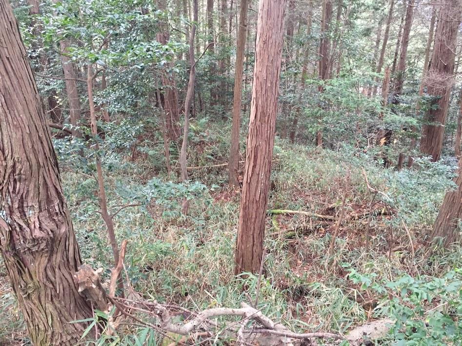 和田山城