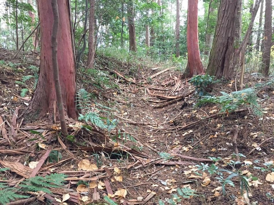 和田山城