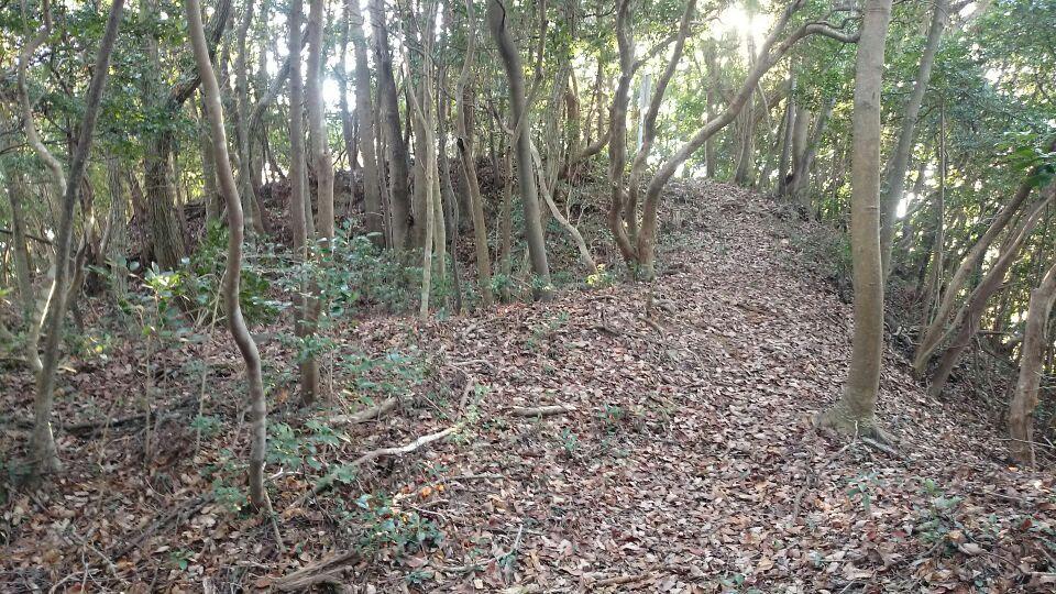 信田ノ丸城