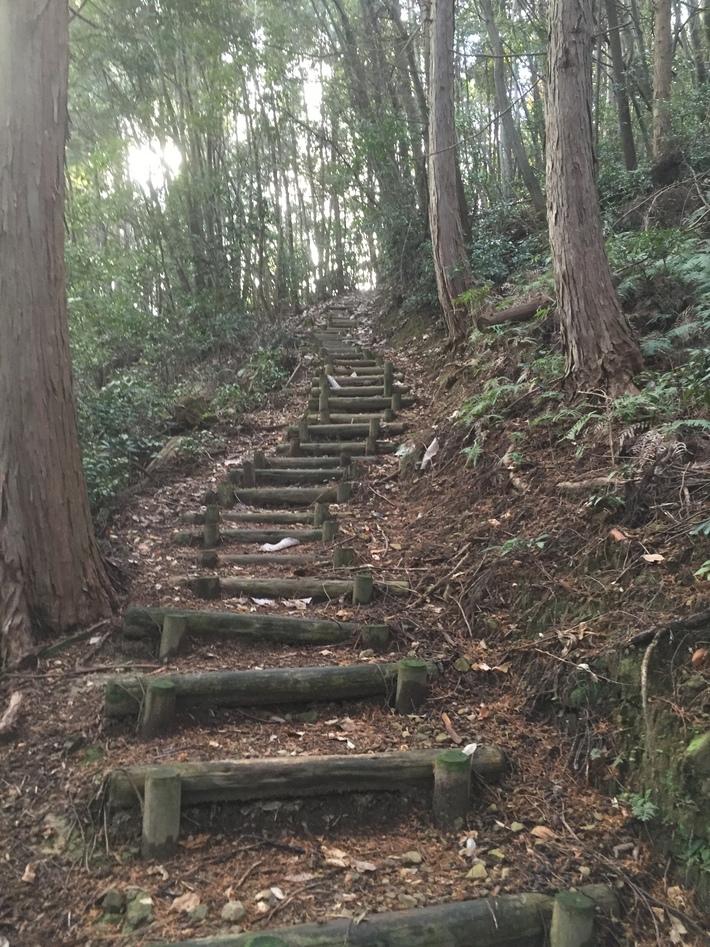 菩提山城