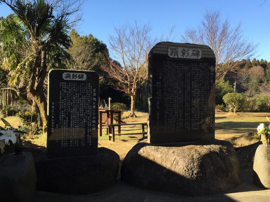 芹沢城