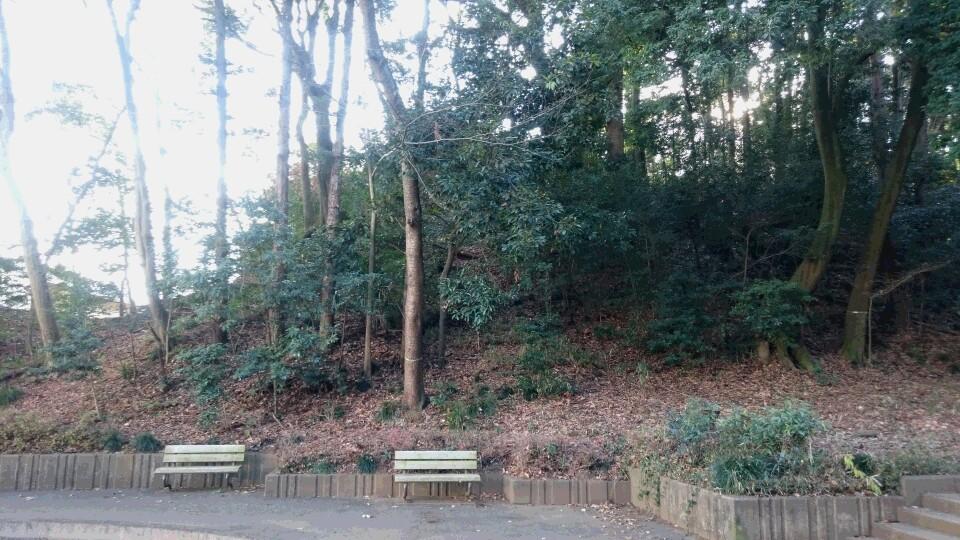 増尾城