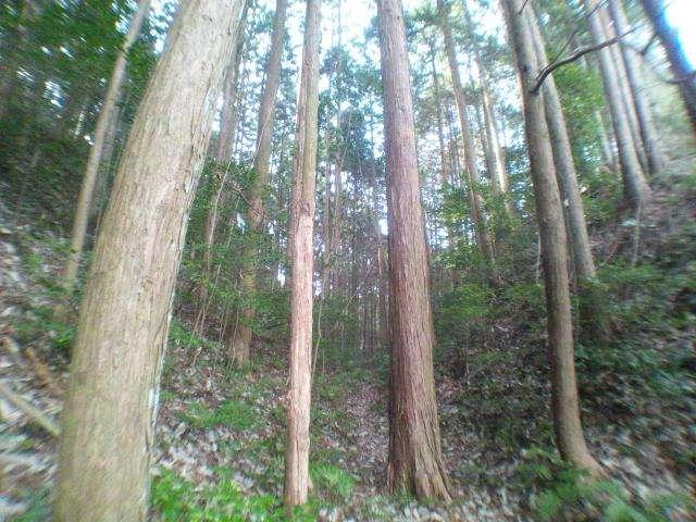 龍王山城