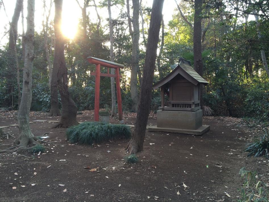 金野井城