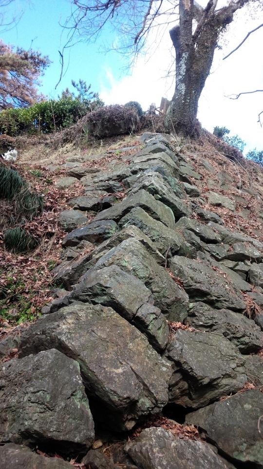 唐沢山城