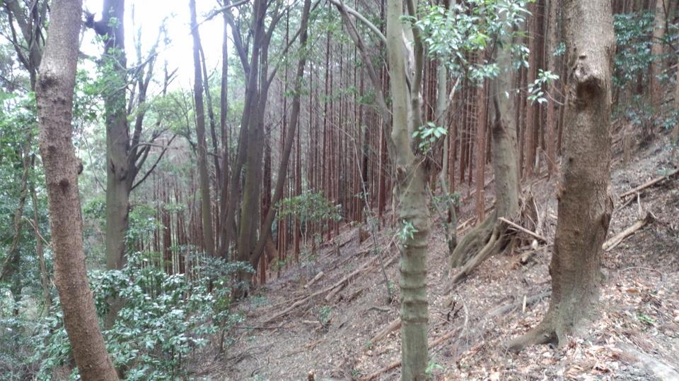 信貴山城
