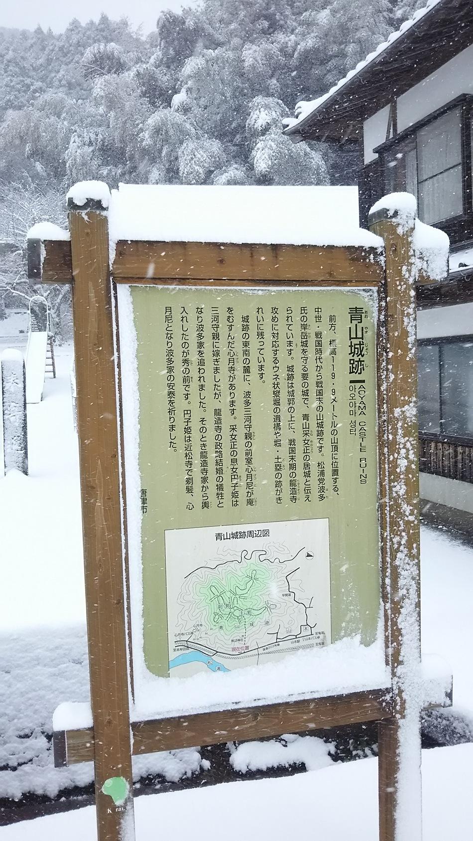 青山城