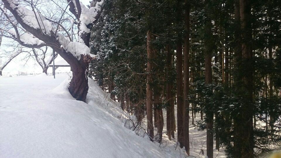 岩崎城