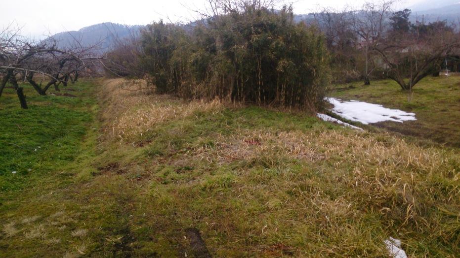 石母田城