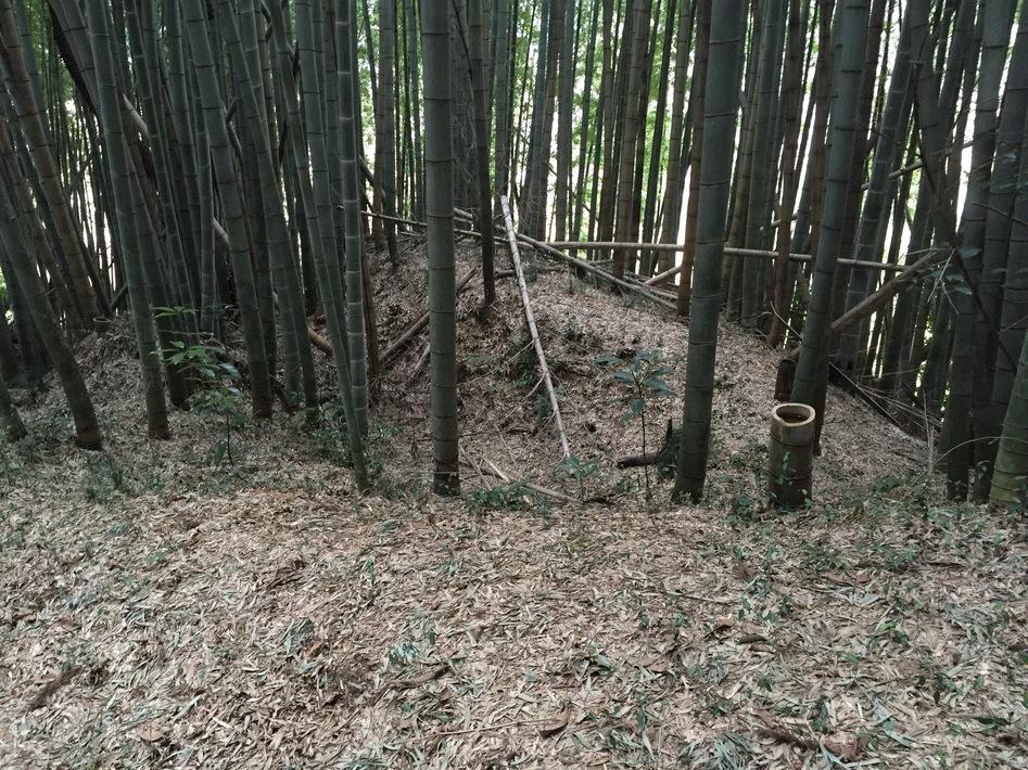 前林城