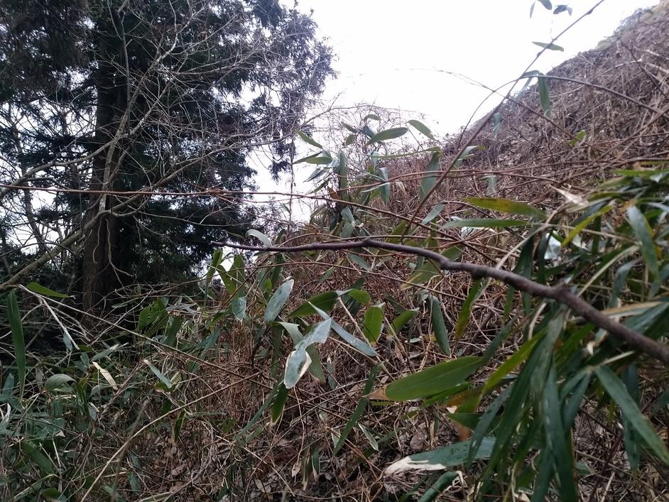 松森城