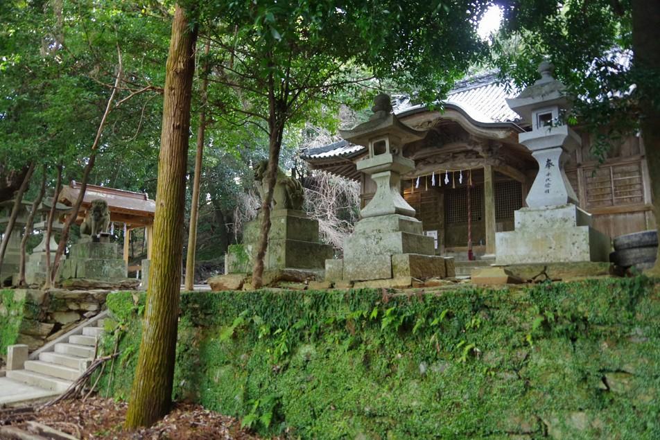 片志城
