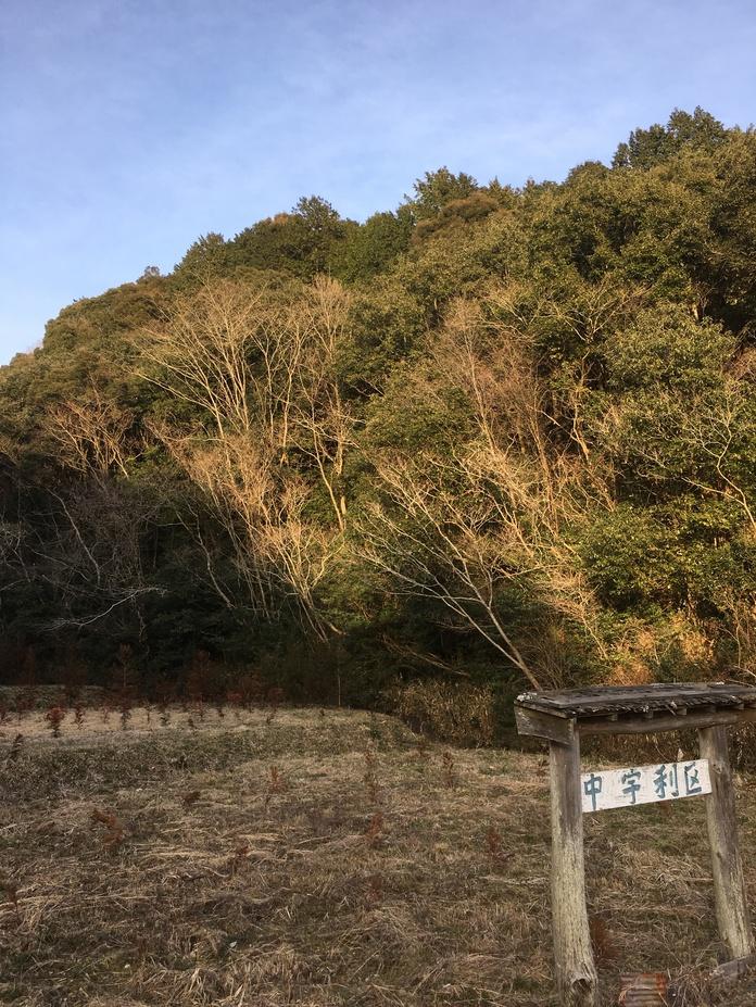 宇利城