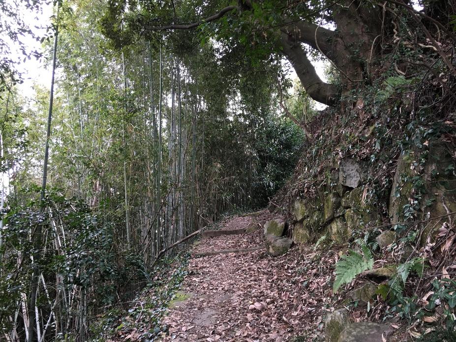須古城