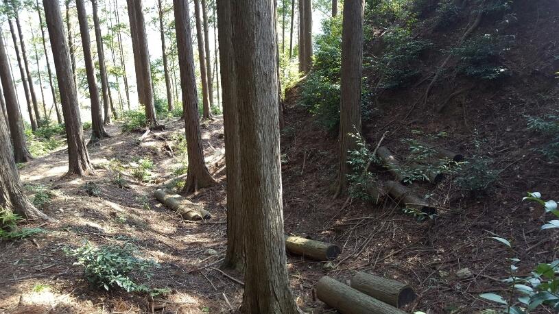 犬居城